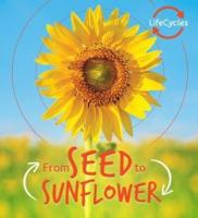 From Seed to Sunflower