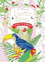 Exotic Birds Postcard Book