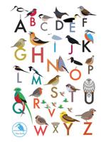 I Like Birds: An Alphabet of Birds Address Book