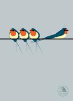 I Like Birds: Swallows On a Line Hardback Notebook