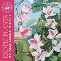 Kew Gardens - Exotic Plants by Marianne North - Mini Wall Calendar 2020