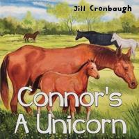 Connor's A Unicorn