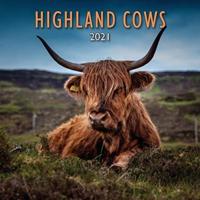 LYRICAL SCOTLAND 2021 HIGHLAND COWS CALE
