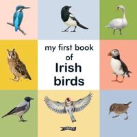 My First Book of Irish Birds