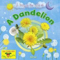 A Day in the Life of a Dandelion