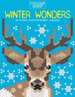 Colour Quest¬: Winter Wonders