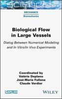 Biological Flow in Large Vessels