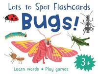 Lots to Spot Bugs! Flashcards