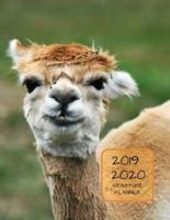 2019 2020 15 Months Llama Gratitude Journal Daily Planner