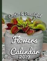Exotic & Beautiful Flowers