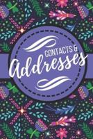 Contacts & Addresses