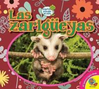 Las Zarigüeyas