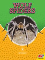 Wolf Spiders