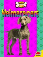 Weimaraners