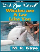 Did You Know? Whales Are A Lot Like You