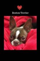 Love Your Boston Terrier Journal