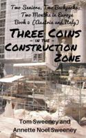 Three Coins in the Construction Zone