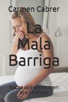 La Mala Barriga: Nauseas y vomitos en el embarazo