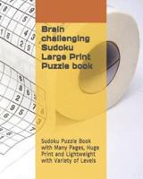 Brain Challenging Sudoku Large Print Puzzle Book
