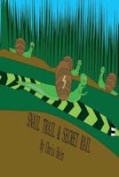 Snail Trail & Secret Rail