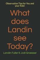 What Does Landin See Today?