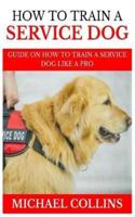 How to Train a Service Dog