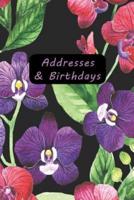 Addresses & Birthdays