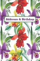 Addresses & Birthdays