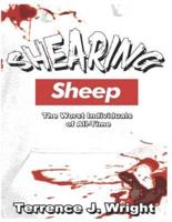 Shearing Sheep