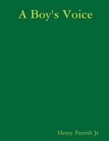 A Boy's Voice