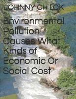 Environmental Pollution Causes What Kinds of Economic Or Social
