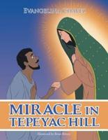 Miracle in Tepeyac Hill