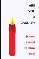 Are You A Candle? Cause I Want To Blow You