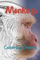 Monkey Coloring Sheets