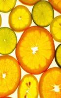 Oranges Limes Lemons Grapefruit 5X8 Writer's Utility Notebook