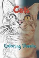 Cat Coloring Sheets