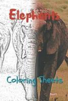 Elephant Coloring Sheets
