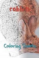 Rabbit Coloring Sheets