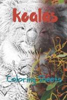 Koala Coloring Sheets