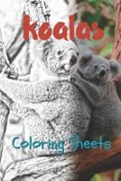 Koala Coloring Sheets