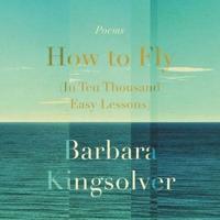 How to Fly (In Ten Thousand Easy Lessons) Lib/E