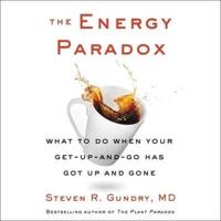The Energy Paradox Lib/E