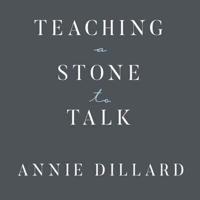 Teaching a Stone to Talk Lib/E