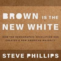 Brown Is the New White Lib/E