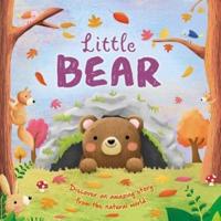 Nature Stories: Little Bear