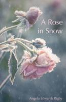 A Rose in Snow