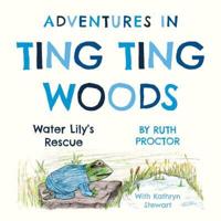 Adventures in Ting Ting Wood
