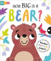 How Big Is a Bear?