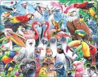 Jig-So Adar Hapus O Bob Rhan O'r Byd / Cheerful Birds From All Over the World Jigsaw