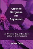 Growing Marijuana for Beginners: An Overview - Step-by-Step Guide on How to Grow Marijuana